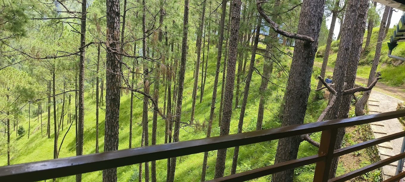 Dhami Hotel Room View 1